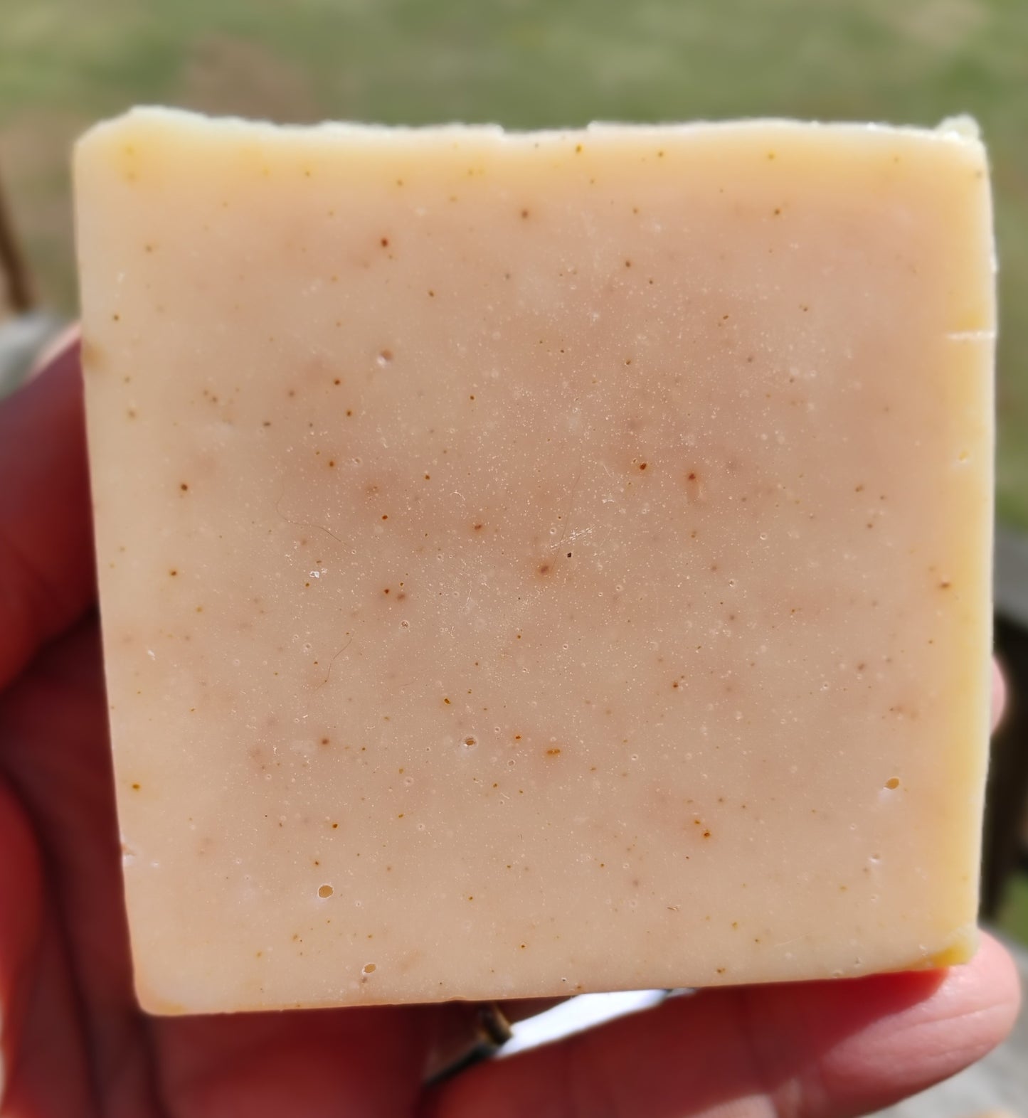 Tallow Soap